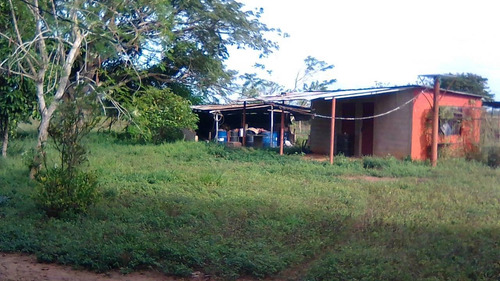 Imagen 7 de 10 de Se Vende Finca En Caicarita Ve02-005cdm-ml