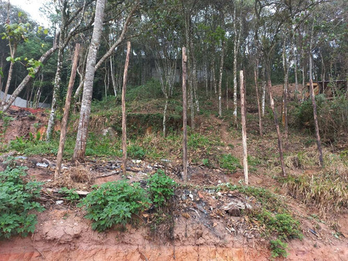 Imagem 3 de 12 de Terreno Mairiporã 800 Metros