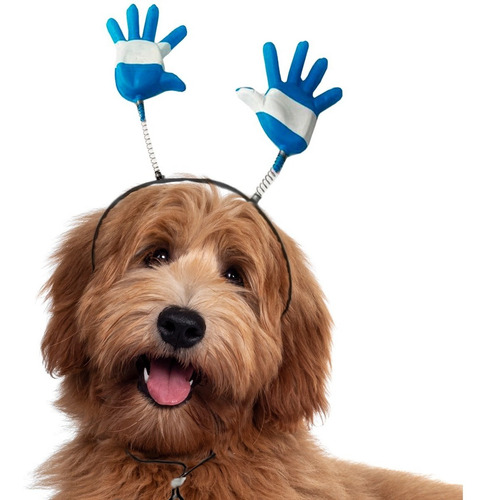 Dúo Vinchas Para Perros Gatos Vos Y Tu Mascota Argentina Color Modelo Bandera