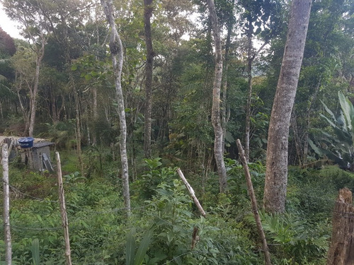 Imagem 4 de 4 de Terreno Na Aldeinha!! - Te00017 - 33500325