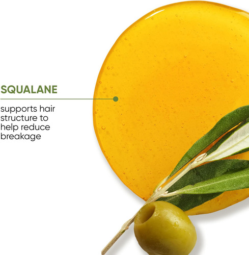 Shampoo Biolage Strength Recovery: Limpa Suavemente,