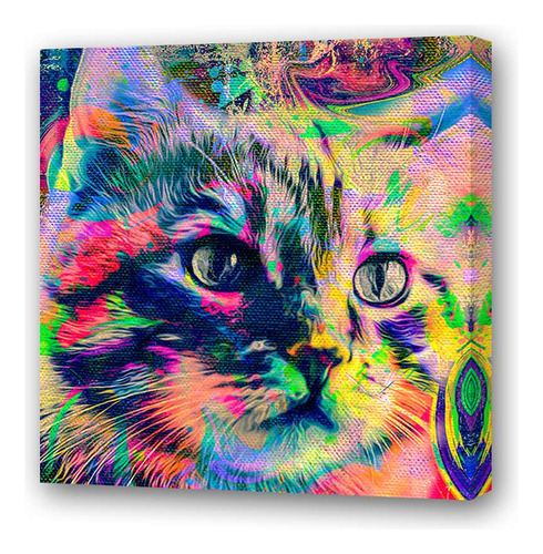 Cuadro 20x20cm Gato Tierno Multicolor Psicodelico M4
