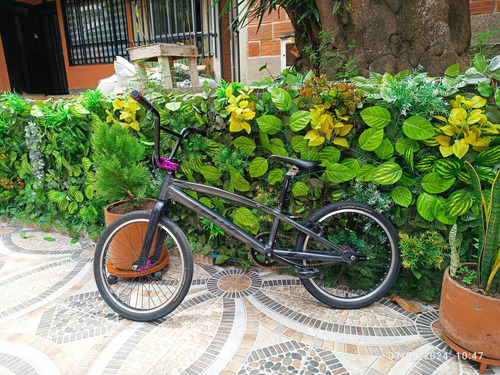 Bicicleta Bmx, Expertos Gw