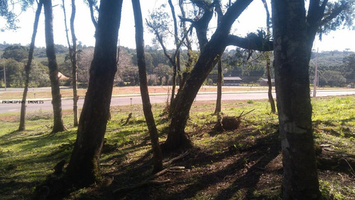 Imagem 12 de 15 de Terreno Para Venda Em Campina Grande Do Sul, Novo Daher - 00283b8_2-1195590