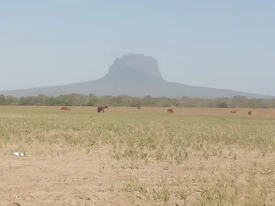 Rancho en venta