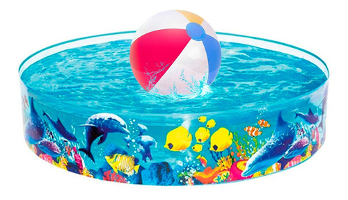 Pileta Rigida Redonda Con Pelota Inflable Juego Verano New