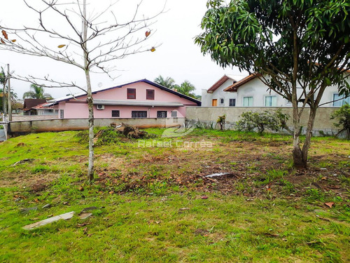 Imagem 5 de 11 de Terreno | Pinheiros | Bal. Barra Do Sul - 078