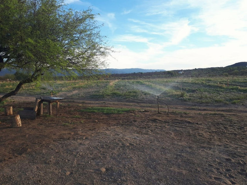 Imagen 2 de 7 de Chacra En Carpintería Con Agua