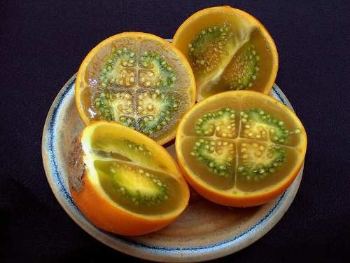 Imagem 2 de 7 de 200 Sementes De Lulo Naranjilla Naranjilha Solanum Quitoense