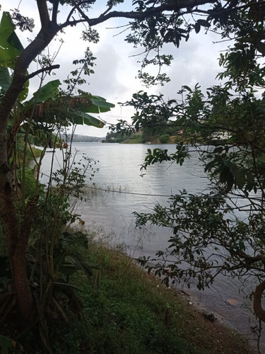 Imagen 13 de 15 de Finca En Venta -lago Calima