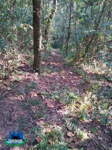 Chácara Com 3 Dormitórios À Venda, 11000 M² Por R$ 580.000,00 - Condomínio Bothanica Jarinu - Jarinu/sp - Ch0025