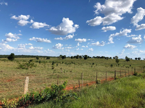 Imagem 8 de 13 de Fazenda Para Venda Em Nova Alvorada Do Sul, Rural - Fazgu 600_1-1946712