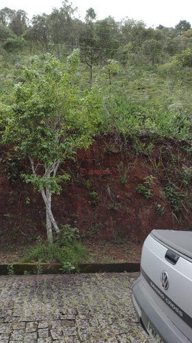 Imagem 3 de 4 de Terreno Com 3 Mil M² Em Condomínio Em Albuquerque - Teresópolis/rj. - Te00456 - 70530064