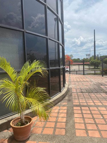 Imagen 5 de 13 de Mejor Punto Comercial Del C Comercial Paseo Tuy Para Bodegón