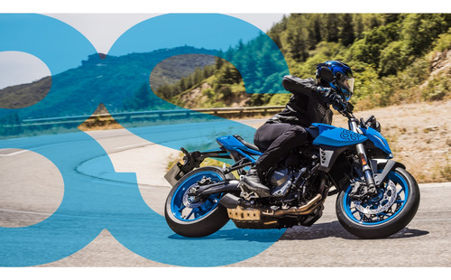 Suzuki Gsx-8s