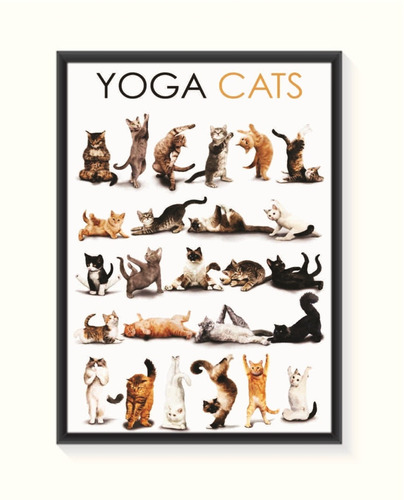 Pôster Yoga Cats - Pequeno