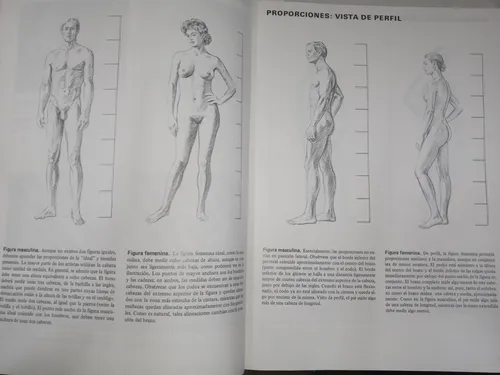 Dibujo Del Desnudo - Bellas Artes - Daimon - Paso A Paso