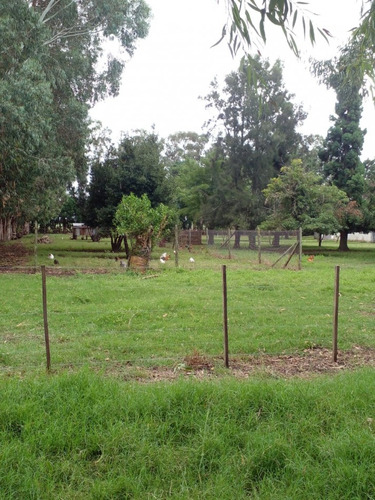 Alquiler De Campo De 4 Hectareas En El Boqueron, Apto Para Cria De Animales