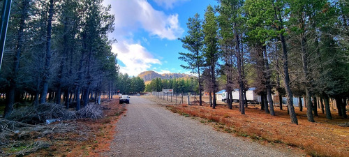 Imagen 5 de 8 de Lote En Venta - Dina Huapi - Bariloche - Loteo Dina Hue