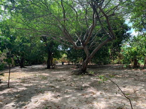 Terreno À Venda, 5200 M² Por R$ 1.700.000,00 - Lagoa Redonda - Fortaleza/ce - Te0475