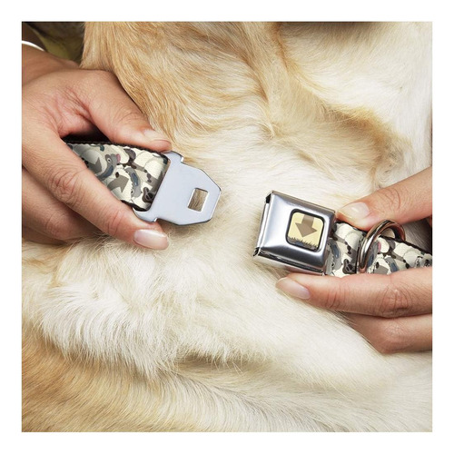 Collar Para Perro Con Hebilla, Hebilla Para Cinturón De The