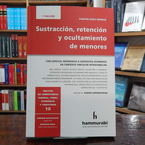 Borean Sustracción, Retención Y Ocultamiento De Menores