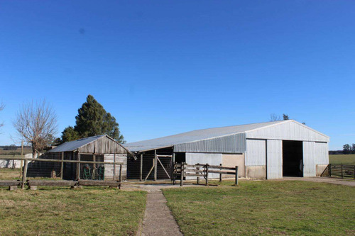 Venta Chacra 108 Hectáreas (a Portera Cerrada) En Pueblo Edén