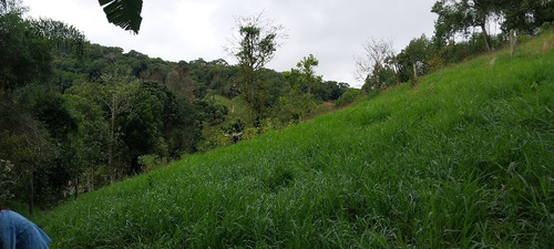 Chácara A Venda Em Salesópolis Sp