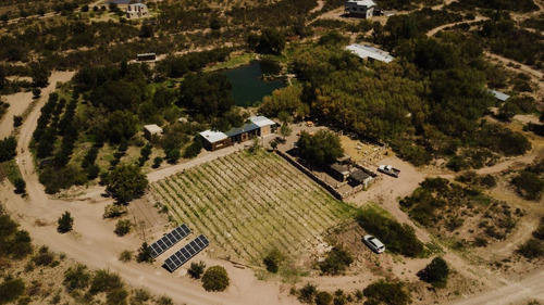 Imagen 25 de 30 de Lote De 2.000 M2 En Pueblo Benegas - San Rafael