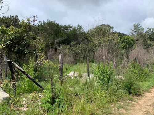 Imagen 1 de 2 de Terreno En Venta Chichima Acapetahua