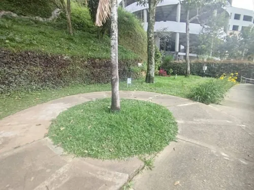 Apartamento En Arriendo Las Flores 1092-2605