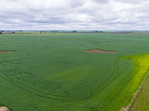 Campo En Venta En Florida Ref. 4408 (ref: Cbr-669)