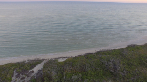 Terreno En Venta De 20m Frente Al Mar En Sisal, Yucatán