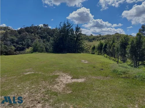 Grandiosa Finca Con Cultivos De Aguacate Hass(mls#247937)