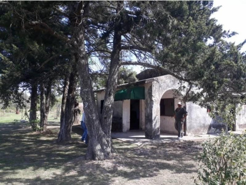 Imagen 3 de 6 de Vendo 330 Héctareas En Colonia Espin - Vera