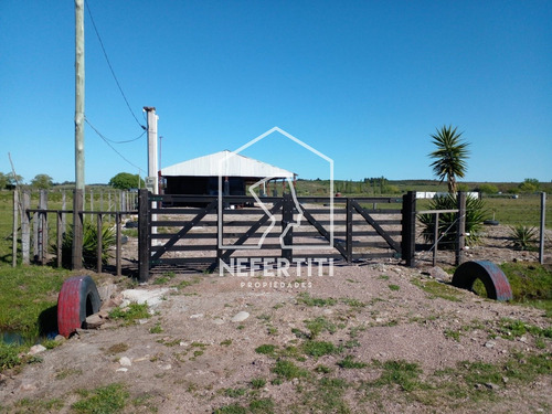 Chacra De 5 Hectareas En Colorado De Migues