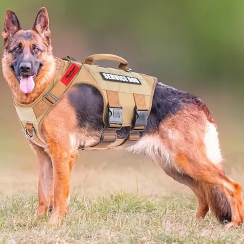 Arnés Táctico Para Perro De Cuerpo Completo Para