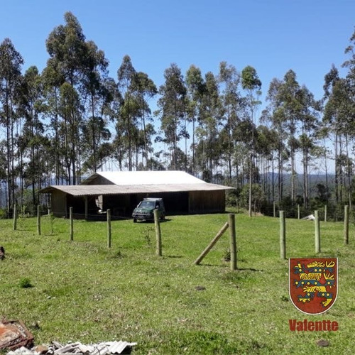 Imagem 1 de 8 de Area - Distrito Rio Das Pedras - Ref: 2634 - V-2634