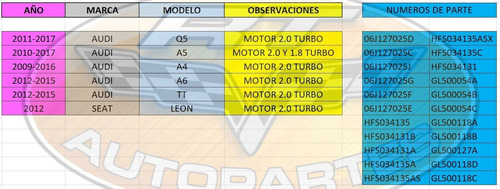 Bomba Alta Presion Tfsi Gdi Audi A5 2010 Hitachi Original U
