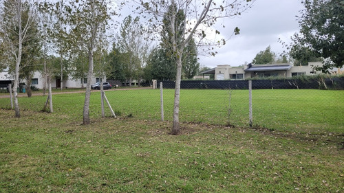 Terreno Con Escritura De 838 M2 Sobre Calle Principal En Barrio Lomas Depetion