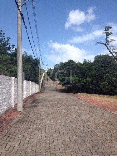 Terreno Em Hípica - Lu430537