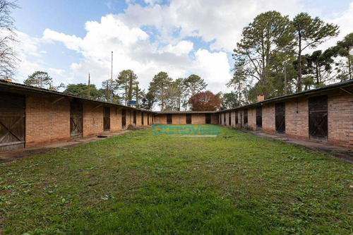 Imagem 20 de 30 de Casa Com 5 Dormitórios À Venda, 450 M² Por R$ 6.800.000,00 - Planta Laranjeiras - Piraquara/pr - Ca0579