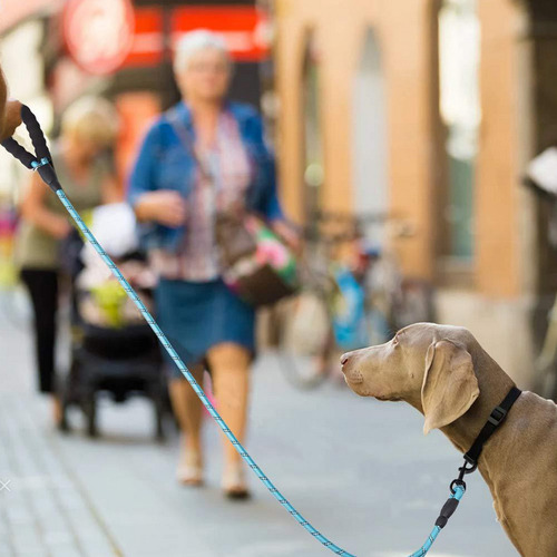 Correa Duradera Para Perros De 5 Pies: Nailon Libre Con Hilo