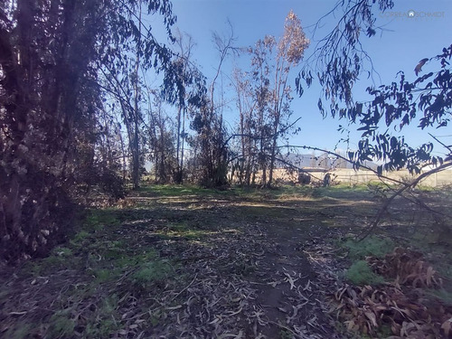 Terreno Construccion En Venta En Olivar