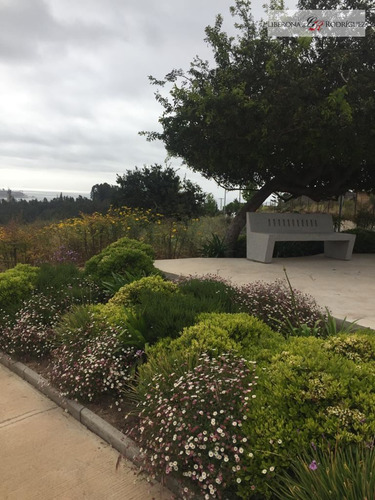 Sitio En Venta En Concón
