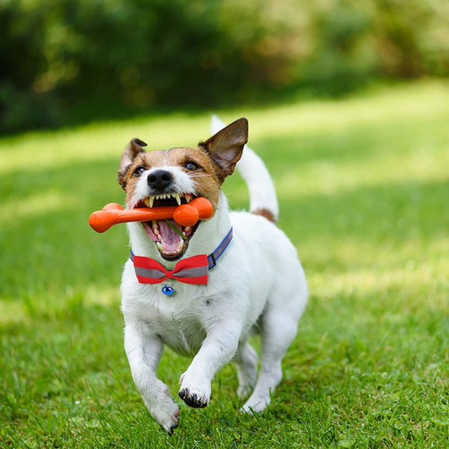 Nenjindz Juego De 6 Collares Para Perros Y Gatos Con Corbatí