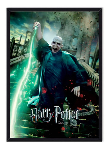Cuadro Enmarcado - Póster Harry Potter - Voldemort