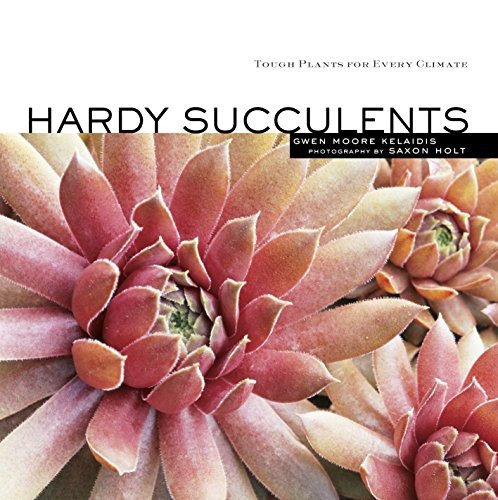 Hardy Succulents Tough Plants For Every Climate