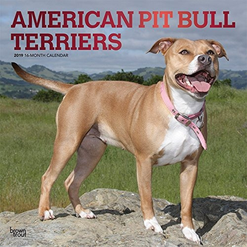 American Pit Bull Terriers 2019 Calendario De Pared Cuadrado