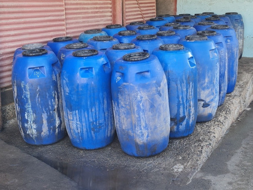 Aceitunas Y Encurtidos Por Mayor